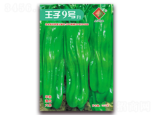 ����9̖F1-�����N��-�����N�I