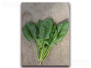 ���G188-���˷N��-�����