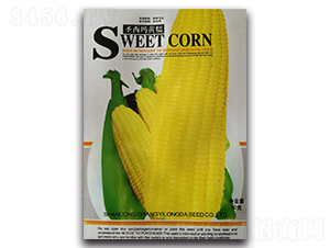 ʥ����ճ����-Ŵ���׷N��-¡�_