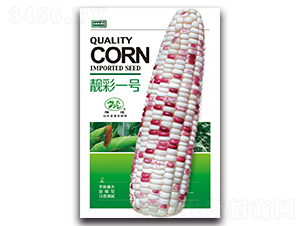 �n��һ̖-Ŵ���׷N��-¡�_