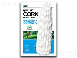 ����Ŵ818-Ŵ���׷N��-¡�_