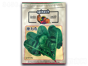 �����沤��-���˷N��-¡�_