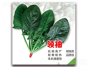 �I�䲤��-���˷N��-¡�_