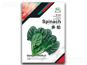 ����-���˷N��-¡�_