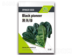 �����h-���˷N��-¡�_