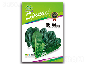 �W������-���˷N��-¡�_