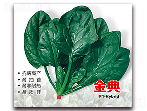 ��䲤��-���˷N��-¡�_