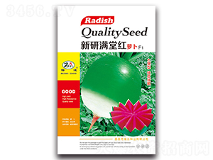 ���НM(m��n)�üt�}��F1-�}���N��-¡�_(d��)