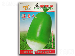 ԥ�����}��-�}���N��-ƽ���N�I