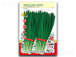 平龍八號F1-韭菜種子-平龍種業