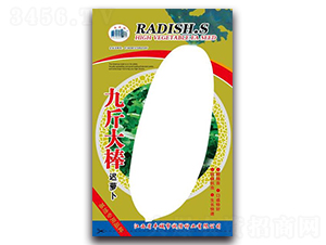 �Ž����t�}��-�}���N��-�\�ŷN�I