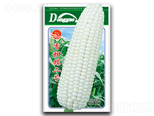 ����Ŵ��̖-Ŵ���׷N��-��ʢ�@