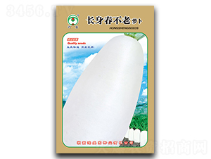 �L��������-�}���N��-��ʢ�@