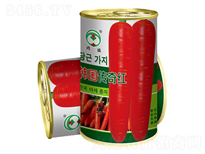 �n������t-���}���N��-��ʢ�@