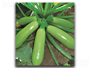 ��1̖(h��o)-�����J�N��-�����o(j��)�N��