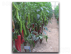 ����-�����N��-�����o�N��