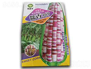 Ŵ��369-Ŵ���׷N��-ԥ�β�