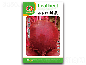 ���S�t���-��˷N��-�����N�I