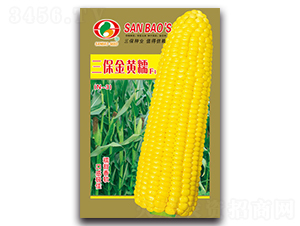 �������SŴF1-Ŵ���׷N��-�����N�I(y��)