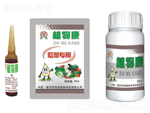 ֲ�￵�ײ�-��Gֲ��