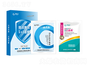 ���c�S�c1+1�ײ�-̩����