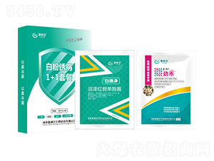 �׷��P��1+1�ײ�-̩����