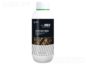 �ӝɼt�نΰ���-�����`-̩����