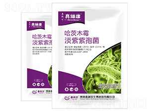 ���ġ��������߾�-�漚��-̩����