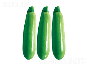 ������-�����J�N��-��ľ�N��