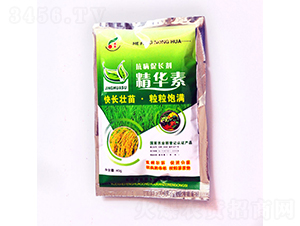 �������L(zh��ng)�����A��-���S