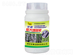 �������������-�����_