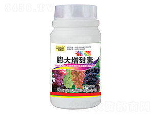 �������������-�����_