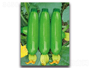 SA05-�����J�N��-�G�x�N�I