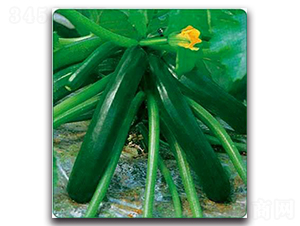 SA03-�����J�N��-�G�x�N�I