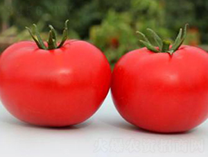 TA08-���ѷN��-�G�x�N�I