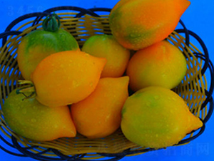 TA06-���ѷN��-�G�x�N�I