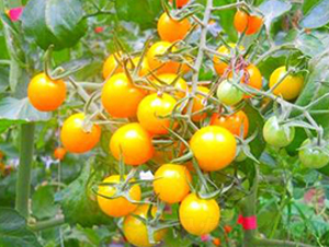 TA02-���ѷN��-�G�x�N�I