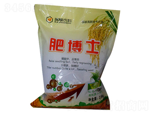 �ʲ�ʿ-����