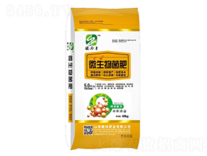 ΢�������-���ʘI