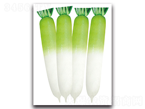 �����~-�}���N��-���}�r�I