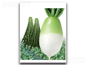 �~�G��-�}���N��-���}�r�I