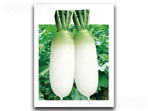 �ഺ�}��-�}���N��-���}�r�I