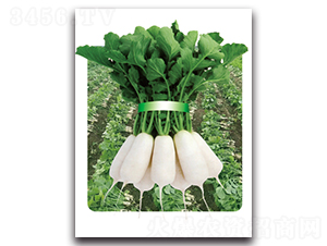 �r�Ґ۶�̖-�}���N��-���}�r�I