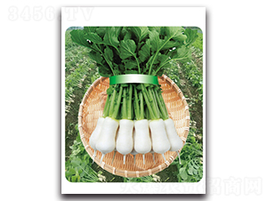 �r�Ґ�-�}���N��-���}�r�I