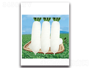 ������ѩ-�}���N��-���}�r�I