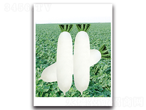 ��������-�}���N��-���}�r�I