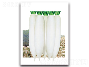 �n������-�}���N��-���}�r�I