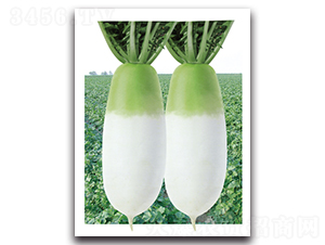 ��G������-�}���N��-���}�r�I