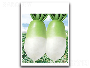 ��G����-�}���N��-���}�r�I