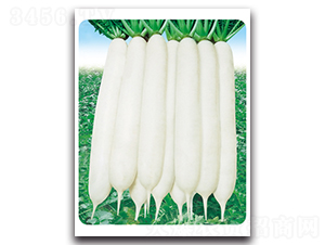 ��G����-�}���N��-���}�r�I